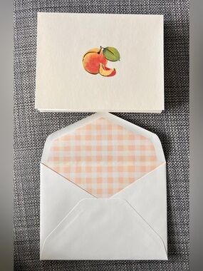 Lot Of 9 Peach 🍑 Blank Note Cards Gingham Envelopes Punch Studios Stationery